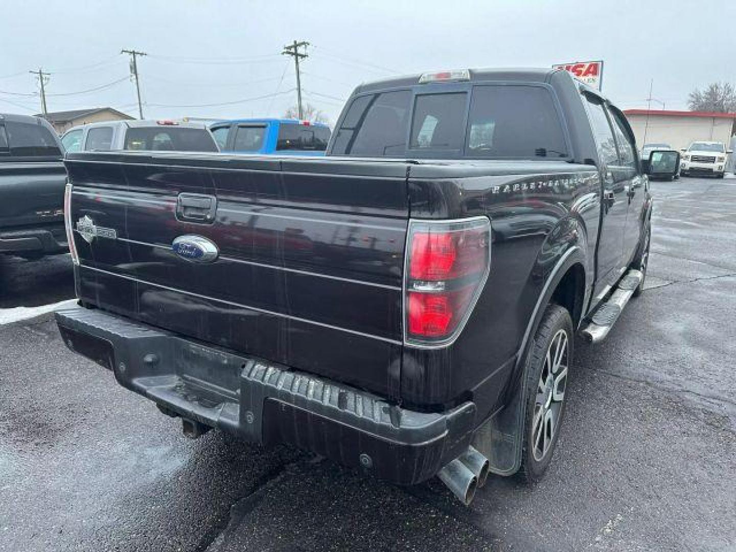 2010 No Color /No Color Ford F150 SuperCrew Cab Harley-Davidson Pickup 4D 5 1/2 ft (1FTFW1EV9AF) with an V8, Flex Fuel, 5.4L engine, Automatic, 4-Spd w/Overdrive transmission, located at 607 W Columbia Drive, Kennewick, WA, 99336, (509) 987-1069, 46.216743, -119.126404 - Photo#4