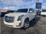 2015 Beige /No Color Cadillac Escalade ESV Premium Sport Utility 4D (1GYS4JKJ0FR) with an V8, 6.2 Liter engine, Auto, 6-Spd HD Overdrive transmission, located at 607 W Columbia Drive, Kennewick, WA, 99336, (509) 987-1069, 46.216743, -119.126404- Photo#0