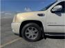 2008 Gold /No Color Cadillac Escalade (1GYFK63868R) with an V8, 6.2 Liter engine, Automatic, 6-Spd HD w/Overdrive transmission, located at 607 W Columbia Drive, Kennewick, WA, 99336, (509) 987-1069, 46.216743, -119.126404 - Photo#16