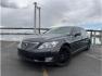 2011 Gray /No Color Lexus LS (JTHDL5EF5B5) with an V8, 4.6 Liter engine, Automatic, 8-Spd w/Overdrive and Sequential Mode transmission, located at 607 W Columbia Drive, Kennewick, WA, 99336, (509) 987-1069, 46.216743, -119.126404 - Photo#0
