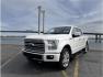 2016 White /No Color Ford F150 SuperCrew Cab (1FTEW1EG1GF) with an V6, EcoBoost, TT, 3.5L engine, Auto, 6-Spd SelShft transmission, located at 607 W Columbia Drive, Kennewick, WA, 99336, (509) 987-1069, 46.216743, -119.126404 - Photo#0