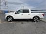 2016 White /No Color Ford F150 SuperCrew Cab (1FTEW1EG1GF) with an V6, EcoBoost, TT, 3.5L engine, Auto, 6-Spd SelShft transmission, located at 607 W Columbia Drive, Kennewick, WA, 99336, (509) 987-1069, 46.216743, -119.126404 - Photo#1