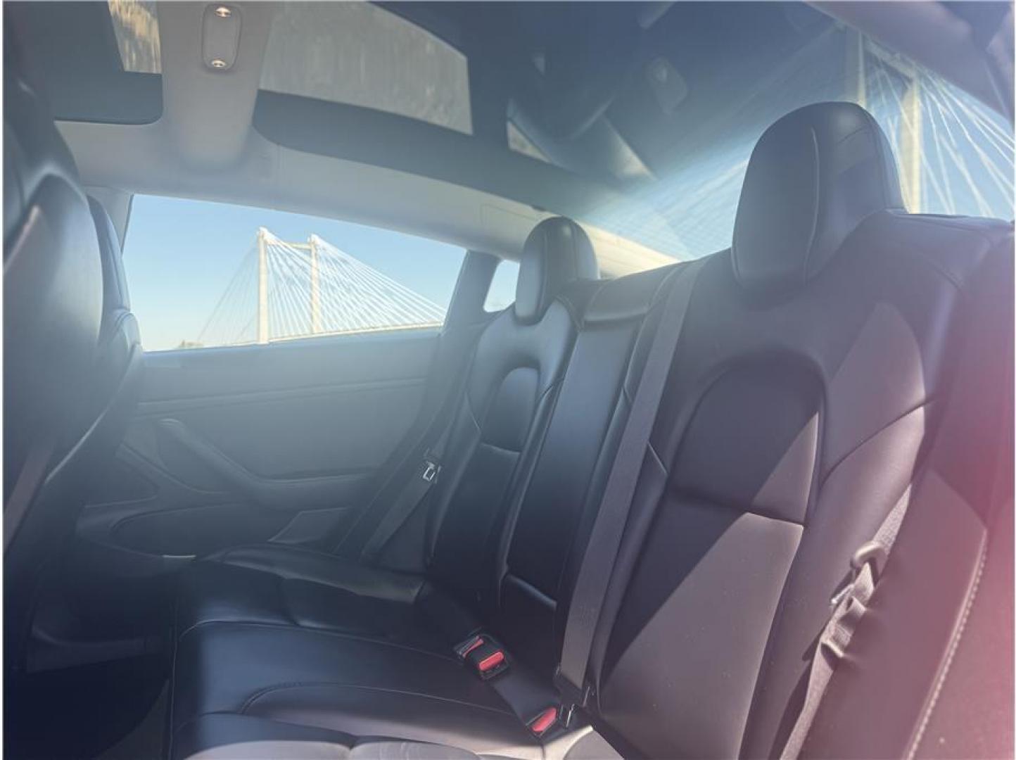 2020 Red /No Color Tesla Model 3 (5YJ3E1EB2LF) with an Dual Electric Motors engine, Single-Speed Fixed Gear transmission, located at 607 W Columbia Drive, Kennewick, WA, 99336, (509) 987-1069, 46.216743, -119.126404 - Photo#3