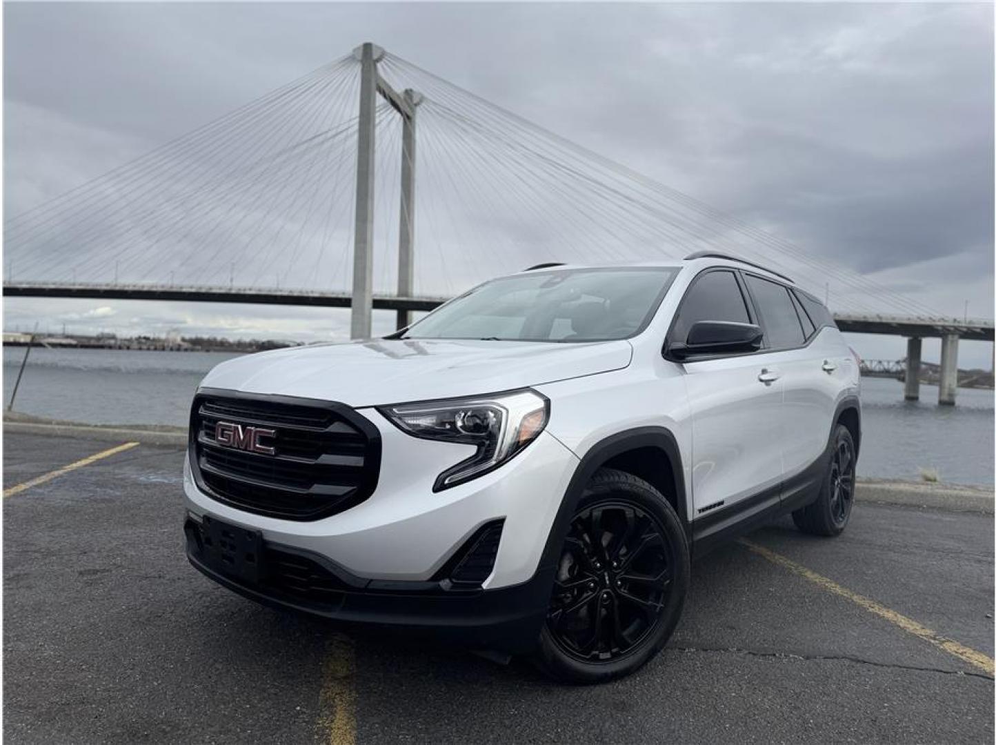 2020 Silver /No Color GMC Terrain (3GKALTEVXLL) with an 4-Cyl, Turbo, 1.5 Liter engine, Automatic, 9-Spd w/Overdrive 9T45 transmission, located at 607 W Columbia Drive, Kennewick, WA, 99336, (509) 987-1069, 46.216743, -119.126404 - Photo#0