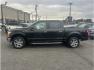 2019 Black /No Color Ford F150 SuperCrew Cab (1FTEW1E42KF) with an V6, EcoBoost, Twin Turbo, 3.5 Liter engine, Automatic, 6-Spd w/SelectShift transmission, located at 607 W Columbia Drive, Kennewick, WA, 99336, (509) 987-1069, 46.216743, -119.126404 - Photo#1