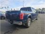 2015 Blue /No Color Ford F150 SuperCrew Cab (1FTEW1EP2FK) with an V6, EcoBoost, TT, 2.7L engine, Automatic, 6-Spd transmission, located at 607 W Columbia Drive, Kennewick, WA, 99336, (509) 987-1069, 46.216743, -119.126404 - Photo#4