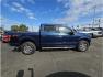 2015 Blue /No Color Ford F150 SuperCrew Cab (1FTEW1EP2FK) with an V6, EcoBoost, TT, 2.7L engine, Automatic, 6-Spd transmission, located at 607 W Columbia Drive, Kennewick, WA, 99336, (509) 987-1069, 46.216743, -119.126404 - Photo#5