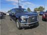 2015 Blue /No Color Ford F150 SuperCrew Cab (1FTEW1EP2FK) with an V6, EcoBoost, TT, 2.7L engine, Automatic, 6-Spd transmission, located at 607 W Columbia Drive, Kennewick, WA, 99336, (509) 987-1069, 46.216743, -119.126404 - Photo#6