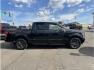 2018 Black /No Color Ford F150 SuperCrew Cab (1FTEW1EG2JF) with an V6, EcoBoost, TT, 3.5L engine, Auto, 10-Spd Spt Mode transmission, located at 607 W Columbia Drive, Kennewick, WA, 99336, (509) 987-1069, 46.216743, -119.126404 - Photo#3