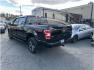 2018 Black /No Color Ford F150 SuperCrew Cab (1FTEW1EG2JF) with an V6, EcoBoost, TT, 3.5L engine, Auto, 10-Spd Spt Mode transmission, located at 607 W Columbia Drive, Kennewick, WA, 99336, (509) 987-1069, 46.216743, -119.126404 - Photo#8
