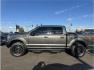 2018 Gray /No Color Ford F150 SuperCrew Cab (1FTEW1EG2JK) with an V6, EcoBoost, 3.5T engine, Auto, 10-Spd Spt Mode transmission, located at 607 W Columbia Drive, Kennewick, WA, 99336, (509) 987-1069, 46.216743, -119.126404 - Photo#7