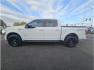 2015 White /No Color Ford F150 SuperCrew Cab (1FTEW1EGXFF) with an V6, EcoBoost, TT, 3.5L engine, Automatic, 6-Spd transmission, located at 607 W Columbia Drive, Kennewick, WA, 99336, (509) 987-1069, 46.216743, -119.126404 - Photo#1