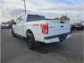 2015 White /No Color Ford F150 SuperCrew Cab (1FTEW1EGXFF) with an V6, EcoBoost, TT, 3.5L engine, Automatic, 6-Spd transmission, located at 607 W Columbia Drive, Kennewick, WA, 99336, (509) 987-1069, 46.216743, -119.126404 - Photo#2