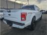 2015 White /No Color Ford F150 SuperCrew Cab (1FTEW1EGXFF) with an V6, EcoBoost, TT, 3.5L engine, Automatic, 6-Spd transmission, located at 607 W Columbia Drive, Kennewick, WA, 99336, (509) 987-1069, 46.216743, -119.126404 - Photo#5
