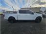 2015 White /No Color Ford F150 SuperCrew Cab (1FTEW1EGXFF) with an V6, EcoBoost, TT, 3.5L engine, Automatic, 6-Spd transmission, located at 607 W Columbia Drive, Kennewick, WA, 99336, (509) 987-1069, 46.216743, -119.126404 - Photo#6