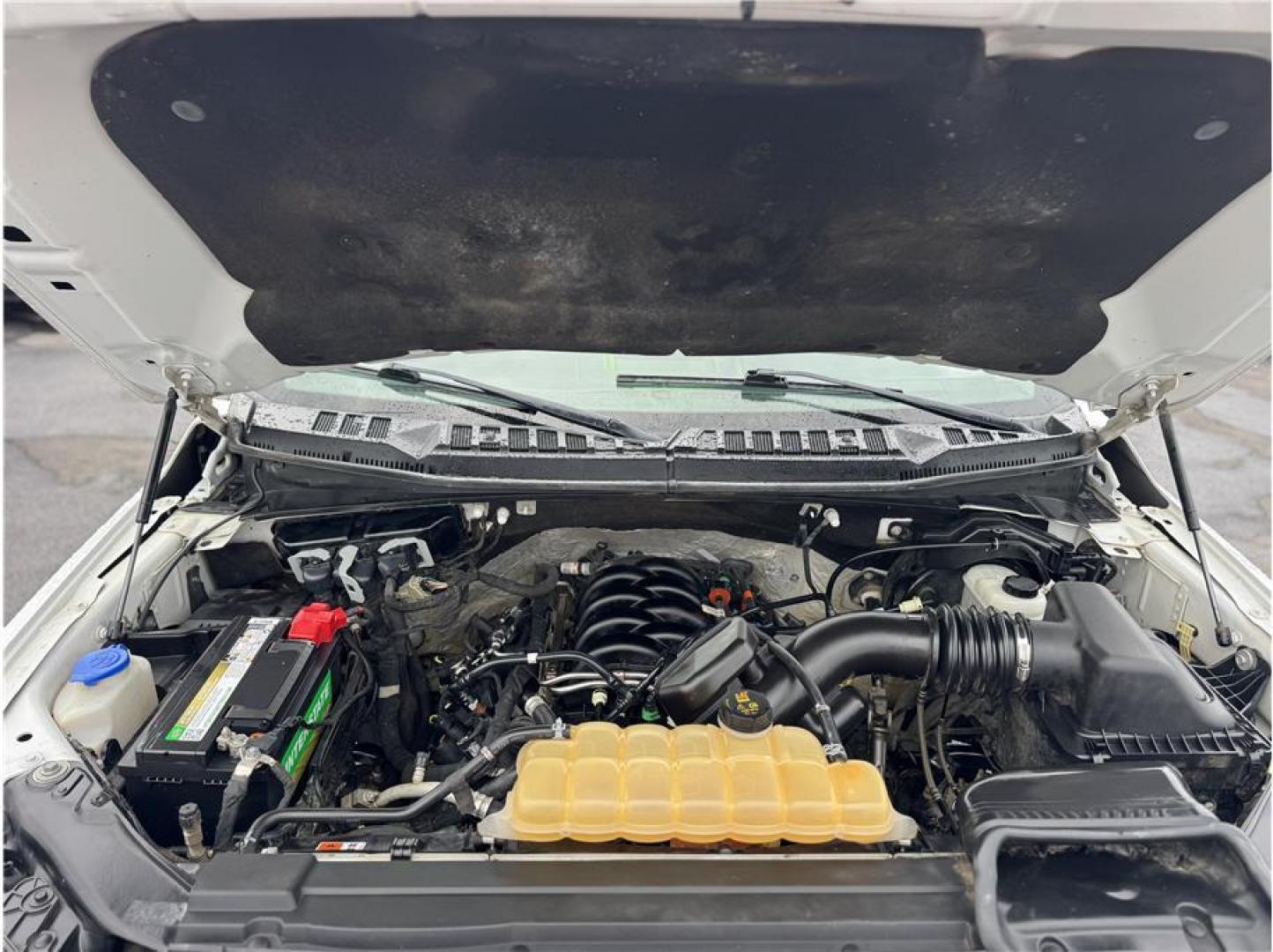 2018 White /No Color Ford F150 Super Cab (1FTFX1E56JK) with an V8, Flex Fuel, 5.0 Liter engine, Auto, 10-Spd Sport Mode transmission, located at 607 W Columbia Drive, Kennewick, WA, 99336, (509) 987-1069, 46.216743, -119.126404 - Photo#18