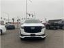 2022 White /No Color Cadillac Escalade (1GYS4FKT9NR) with an 6-Cyl, Turbo Diesel, 3.0 Liter engine, Automatic, 10-Spd w/Overdrive transmission, located at 607 W Columbia Drive, Kennewick, WA, 99336, (509) 987-1069, 46.216743, -119.126404 - Photo#1