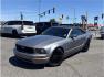 2006 Blue /No Color Ford Mustang (1ZVFT84N065) with an V6, 4.0 Liter engine, Automatic transmission, located at 607 W Columbia Drive, Kennewick, WA, 99336, (509) 987-1069, 46.216743, -119.126404 - Photo#0