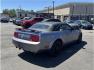 2006 Blue /No Color Ford Mustang (1ZVFT84N065) with an V6, 4.0 Liter engine, Automatic transmission, located at 607 W Columbia Drive, Kennewick, WA, 99336, (509) 987-1069, 46.216743, -119.126404 - Photo#4