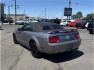 2006 Blue /No Color Ford Mustang (1ZVFT84N065) with an V6, 4.0 Liter engine, Automatic transmission, located at 607 W Columbia Drive, Kennewick, WA, 99336, (509) 987-1069, 46.216743, -119.126404 - Photo#6