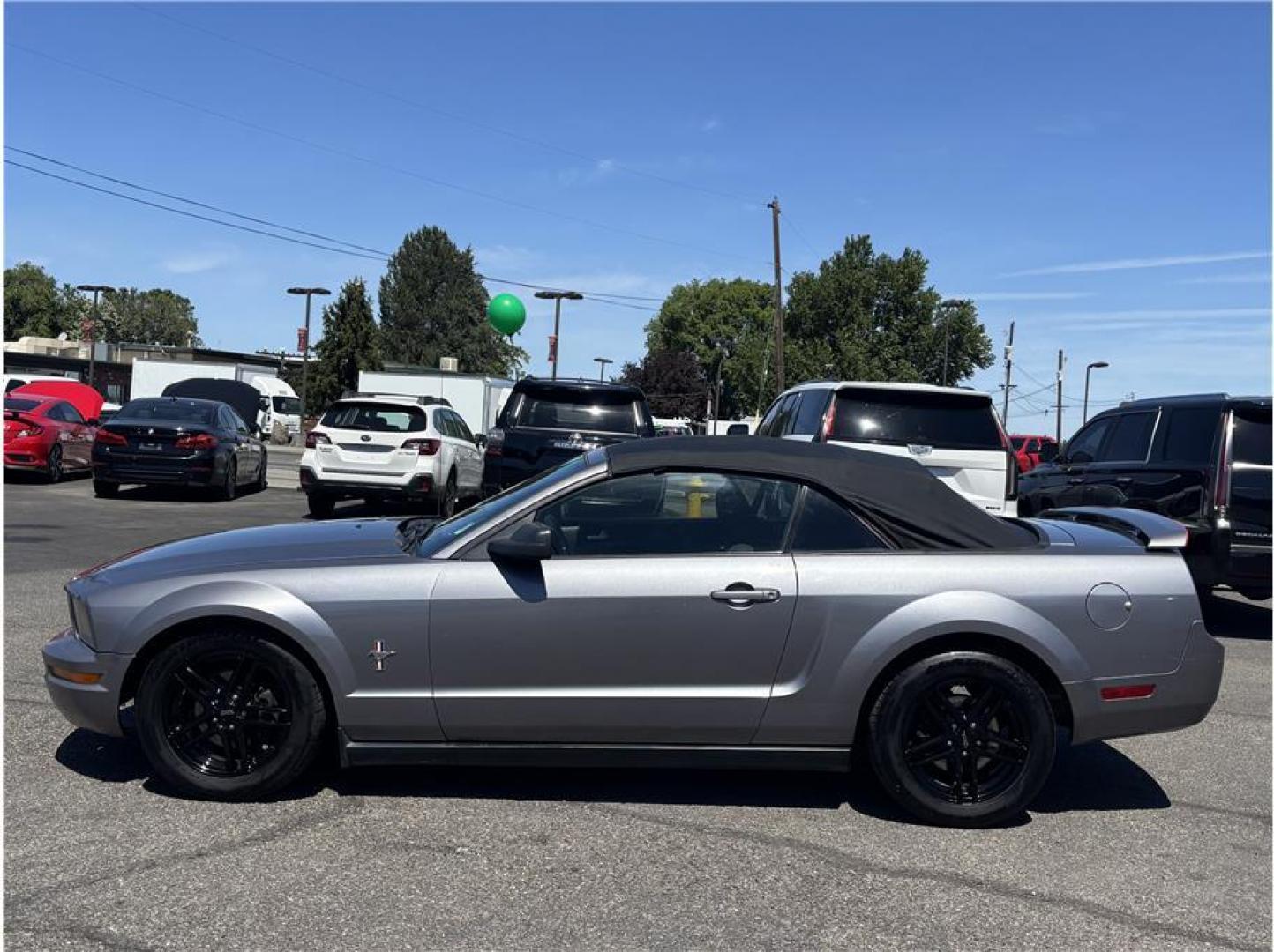 2006 Blue /No Color Ford Mustang (1ZVFT84N065) with an V6, 4.0 Liter engine, Automatic transmission, located at 607 W Columbia Drive, Kennewick, WA, 99336, (509) 987-1069, 46.216743, -119.126404 - Photo#7