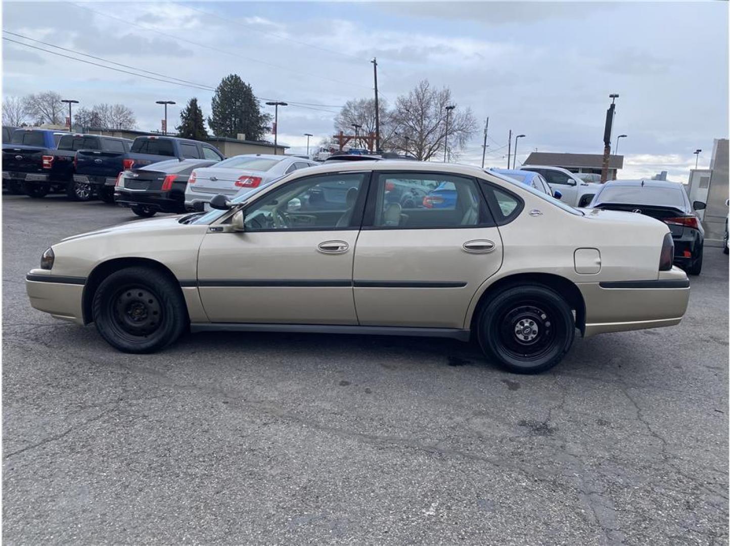 2005 Tan /No Color Chevrolet Impala (2G1WF55K959) with an V6, 3.8 Liter engine, Automatic transmission, located at 607 W Columbia Drive, Kennewick, WA, 99336, (509) 987-1069, 46.216743, -119.126404 - Photo#7