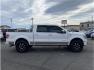 2013 White /No Color Ford F150 SuperCrew Cab (1FTFW1ET0DF) with an V6, EcoBoost, Twin Turbo, 3.5 Liter engine, Automatic, 6-Spd transmission, located at 607 W Columbia Drive, Kennewick, WA, 99336, (509) 987-1069, 46.216743, -119.126404 - Photo#3