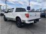 2013 White /No Color Ford F150 SuperCrew Cab (1FTFW1ET0DF) with an V6, EcoBoost, Twin Turbo, 3.5 Liter engine, Automatic, 6-Spd transmission, located at 607 W Columbia Drive, Kennewick, WA, 99336, (509) 987-1069, 46.216743, -119.126404 - Photo#7