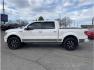 2013 White /No Color Ford F150 SuperCrew Cab (1FTFW1ET0DF) with an V6, EcoBoost, Twin Turbo, 3.5 Liter engine, Automatic, 6-Spd transmission, located at 607 W Columbia Drive, Kennewick, WA, 99336, (509) 987-1069, 46.216743, -119.126404 - Photo#8