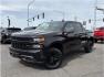 2019 Black /No Color Chevrolet Silverado 1500 Crew Cab (1GCPYCEH8KZ) with an V6, EcoTec3, 4.3 Liter engine, Automatic, 6-Spd HD w/Overdrive transmission, located at 607 W Columbia Drive, Kennewick, WA, 99336, (509) 987-1069, 46.216743, -119.126404 - Photo#0