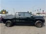 2024 Black /No Color Chevrolet Silverado 1500 Crew Cab (2GCUDGED9R1) with an V8, EcoTec3, DFM, 5.3 Liter engine, Automatic, 10-Spd w/Overdrive transmission, located at 607 W Columbia Drive, Kennewick, WA, 99336, (509) 987-1069, 46.216743, -119.126404- Photo#3